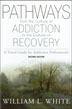 Pathways from the Culture of Addiction to the Culture of Recovery