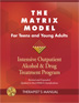 Product: The Matrix Model for Teens and Young Adults with DVDs Curriculum