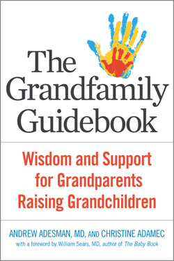 The Grandfamily Guidebook