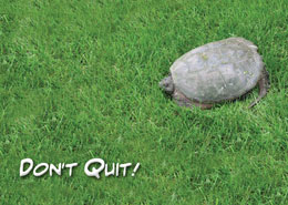 Product: Don't Quit Greeting Card