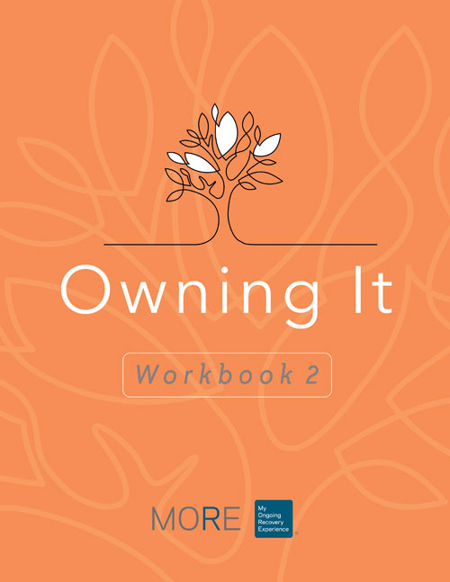 Product: Owning It Workbook
