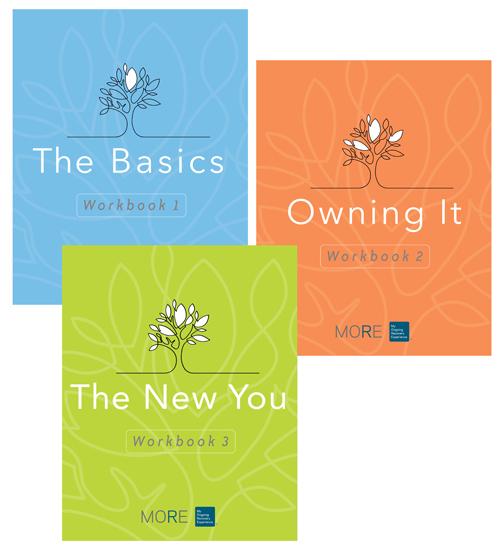Product: My Ongoing Recovery, Pkg. of 30 Workbooks