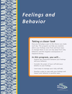 Flex Modules Feelings and Behavior Journal, Pkg. of 25